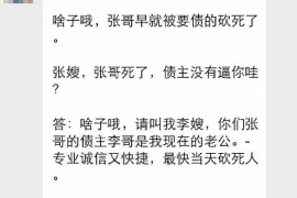 龙湖专业要账公司